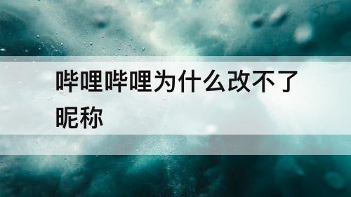 哔哩哔哩为什么改不了昵称