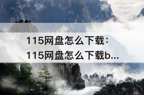 115网盘怎么下载：115网盘怎么下载bt种子