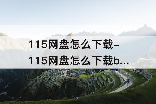 115网盘怎么下载-115网盘怎么下载bt任务