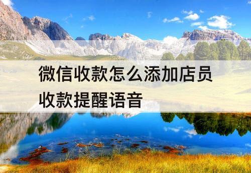 微信收款怎么添加店员收款提醒语音