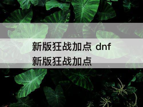 新版狂战加点 dnf新版狂战加点