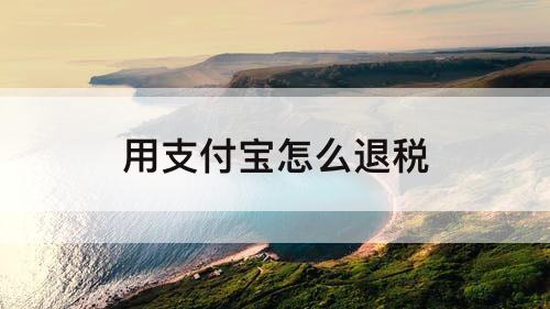 用支付宝怎么退税