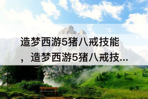 造梦西游5猪八戒技能，造梦西游5猪八戒技能升级