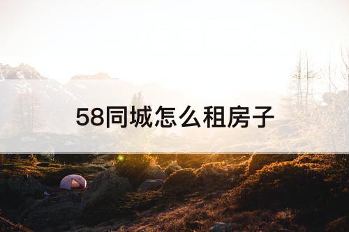 58同城怎么租房子
