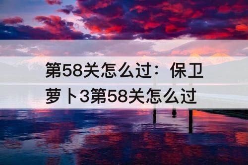 第58关怎么过：保卫萝卜3第58关怎么过
