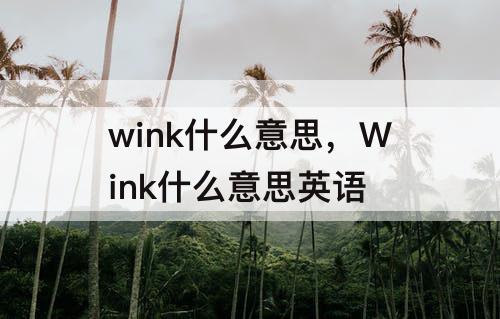wink什么意思，Wink什么意思英语