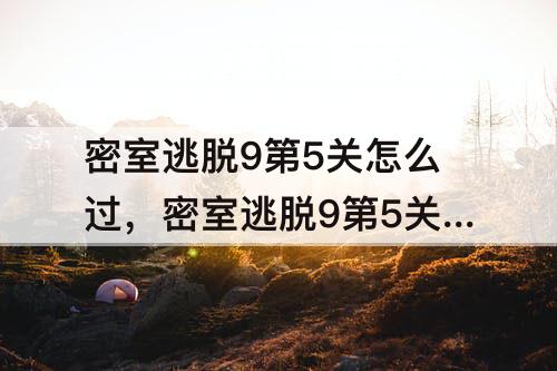 密室逃脱9第5关怎么过，密室逃脱9第5关怎么过图解法