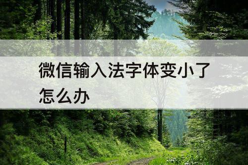 微信输入法字体变小了怎么办
