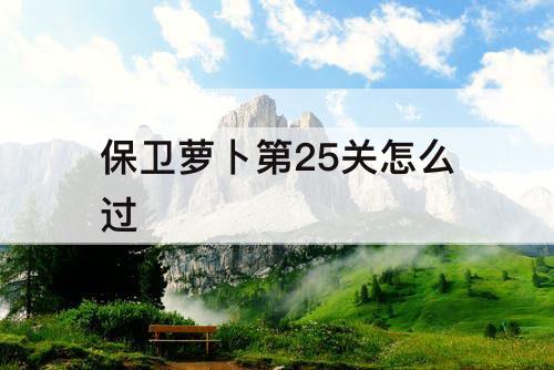 保卫萝卜第25关怎么过