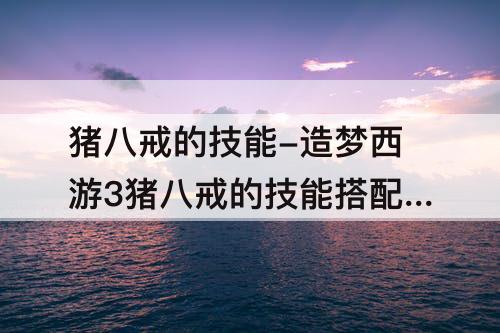 猪八戒的技能-造梦西游3猪八戒的技能搭配单人