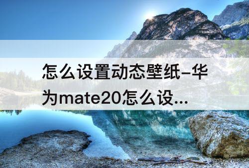 怎么设置动态壁纸-华为mate20怎么设置动态壁纸
