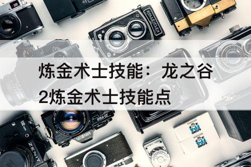 炼金术士技能：龙之谷2炼金术士技能点