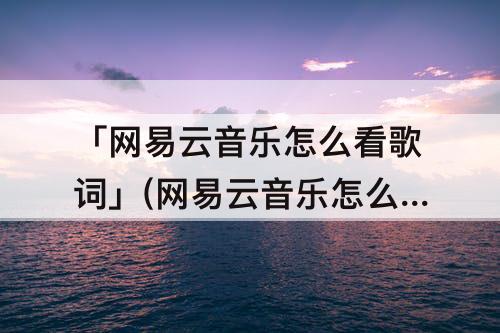 「网易云音乐怎么看歌词」(网易云音乐怎么看歌词翻译)