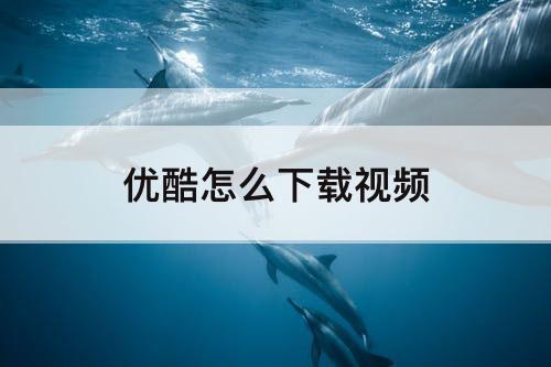 优酷怎么下载视频