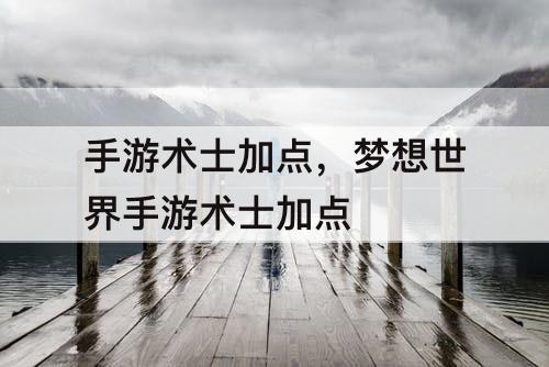 手游术士加点，梦想世界手游术士加点
