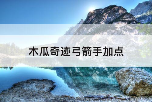 木瓜奇迹弓箭手加点