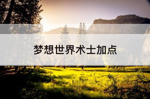 梦想世界术士加点