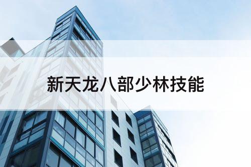 新天龙八部少林技能