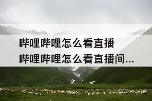 哔哩哔哩怎么看直播 哔哩哔哩怎么看直播间里有谁