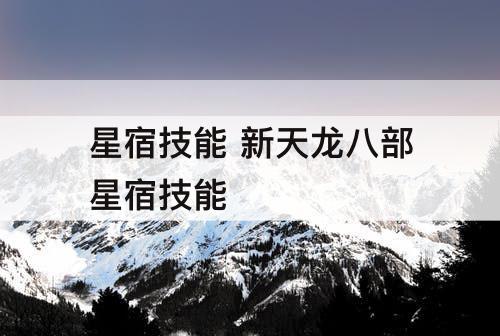星宿技能 新天龙八部星宿技能