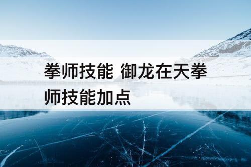 拳师技能 御龙在天拳师技能加点