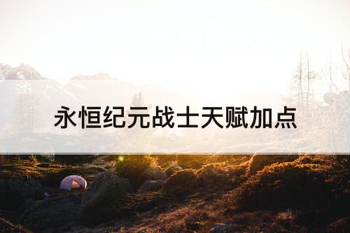 永恒纪元战士天赋加点