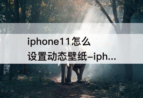 iphone11怎么设置动态壁纸-iphone11怎么设置动态壁纸不用按压的