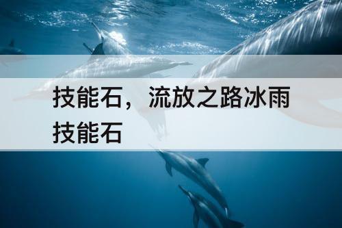技能石，流放之路冰雨技能石