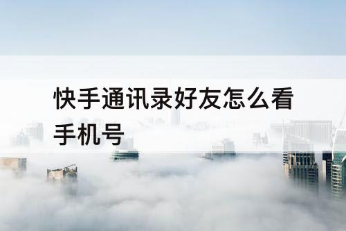 快手通讯录好友怎么看手机号