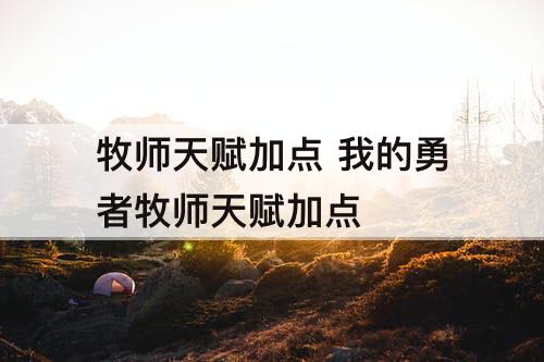 牧师天赋加点 我的勇者牧师天赋加点
