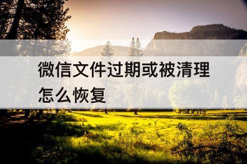 微信文件过期或被清理怎么恢复