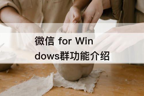 微信 for Windows群功能介绍