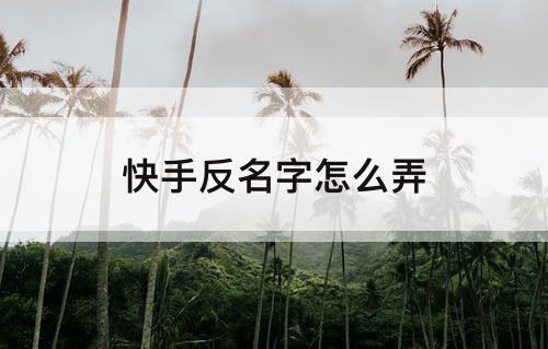 快手反名字怎么弄