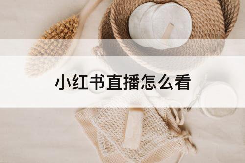 小红书直播怎么看