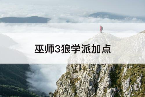 巫师3狼学派加点