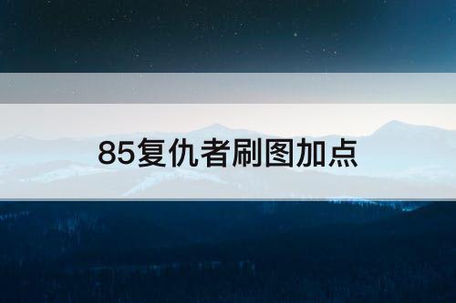 85复仇者刷图加点