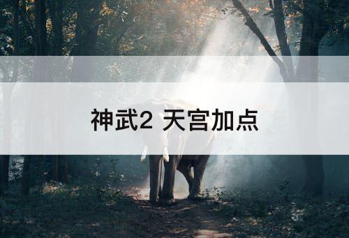 神武2 天宫加点