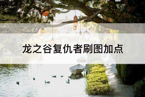龙之谷复仇者刷图加点
