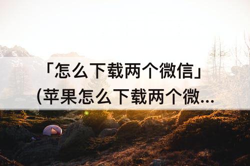 「怎么下载两个微信」(苹果怎么下载两个微信到手机上)