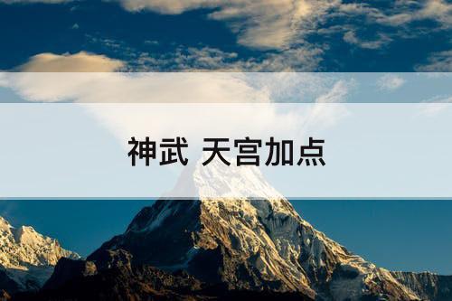 神武 天宫加点