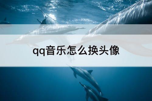 qq音乐怎么换头像