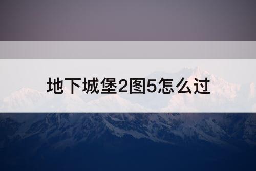 地下城堡2图5怎么过