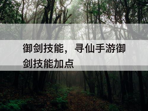 御剑技能，寻仙手游御剑技能加点
