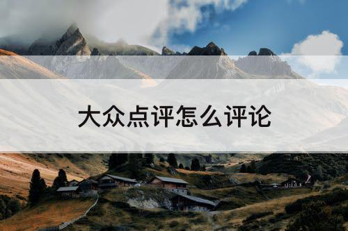 大众点评怎么评论