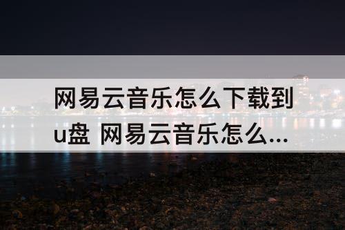 网易云音乐怎么下载到u盘 网易云音乐怎么下载到U盘苹果手机