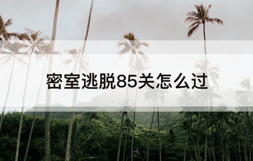 密室逃脱85关怎么过
