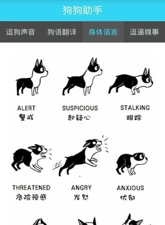 狗狗助手最新版