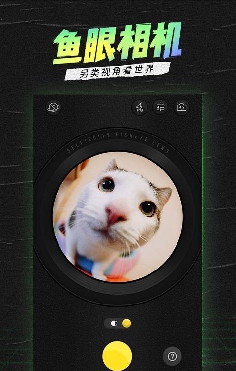 selfiecity(潮自拍)  v4.5.0.0图1