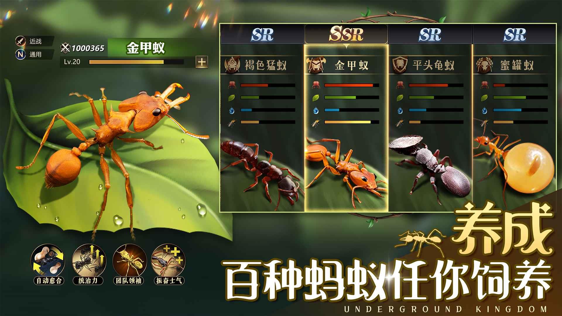 小小蚁国国际版  v1.31.0图3