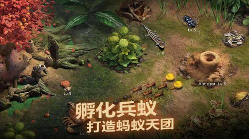 小小蚁国无限资源  v1.31.0图2